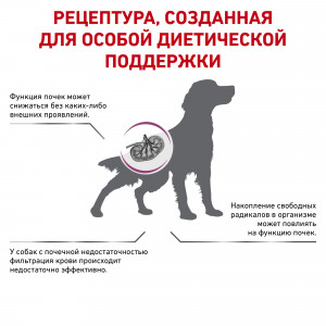 Royal Canin Early Renal Canine Корм сухой диетический для взрослых собак при ранней стадии почечной недостаточности 2кг