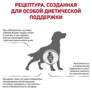 Royal Canin Mobility MC 25 C2P+ Canine Корм сухой диетический для взрослых собак при заболеваниях суставов, 2 кг