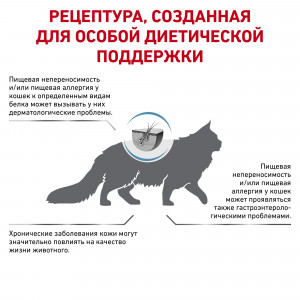 Royal Canin Hypoallergenic DR 25 Feline Корм сухой диетический  для взрослых кошек при пищевой аллергии, 0,5 кг