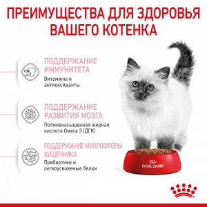 Royal Canin Kitten Корм сухой сбалансированный для котят в период второй фазы роста до 12 месяцев, 10 кг