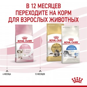 Royal Canin Kitten Корм сухой сбалансированный для котят в период второй фазы роста до 12 месяцев, 0,3 кг