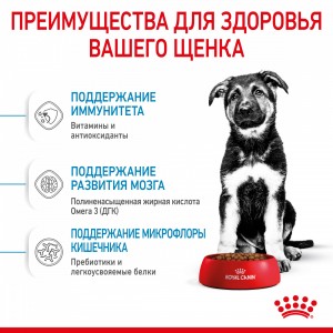 Royal Canin Maxi Puppy Корм сухой для щенков пород крупных размеров (вес 26 - 44 кг) до 15 месяцев, 15 кг