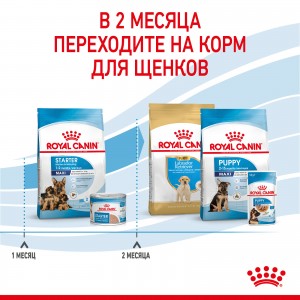 Royal Canin Maxi Starter Корм для щенков крупных размеров до 2-х месяцев, беременных и кормящих сук, 4 кг