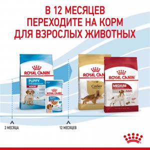 Royal Canin, Medium Puppy, Корм сухой для щенков средних размеров до 12 месяцев, 14 кг