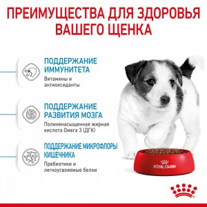 Royal Canin Mini Puppy Корм сухой для щенков мелких размеров до 8 месяцев, 0,8 кг