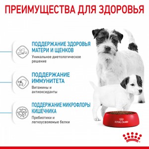 Royal Canin Mini Starter Корм для щенков мелких размеров до 2-х месяцев, беременных и кормящих сук, 3 кг
