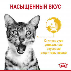 Корм консервированный полнорационный Royal Canin для взрослых кошек (в возрасте от 1 года до 7 лет), стимулирующий вкусовые рецепторы, кусочки в соусе
