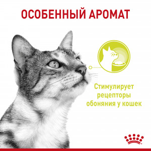 Корм консервированный полнорационный Royal Canin для взрослых кошек (в возрасте от 1 года до 7 лет), стимулирующий обонятельные рецепторы, кусочки в соусе