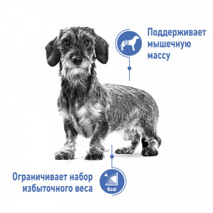Royal Canin Mini Light Weight Care Корм сухой для взрослых собак мелких размеров, склонных к набору лишнего веса, 1 кг