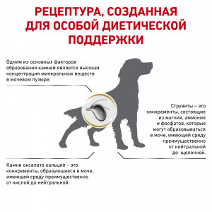 Royal Canin Urinary S/O LP 18 Canine Корм сухой диетический для взрослых собак при мочекаменной болезни, 2 кг