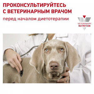 Royal Canin Renal Canine Корм консервированный диетический для взрослых собак для поддержания функции почек, паштет 0,2кг