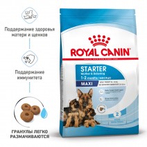 Royal Canin Maxi Starter Корм для щенков крупных размеров до 2-х месяцев, беременных и кормящих сук, 4 кг